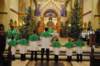 dsc_0116_small.jpg